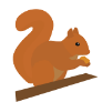 Squirrels Image