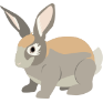 Rabbits Image