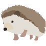 Hedgehogs Image