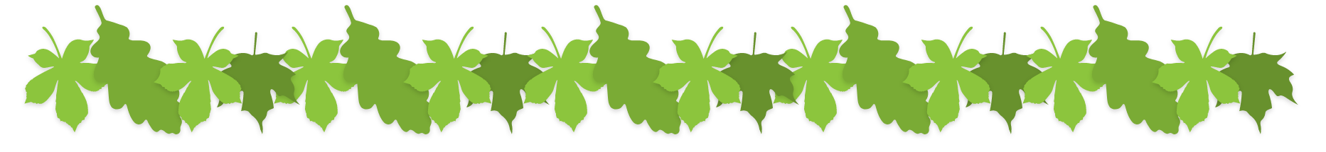 Leaves Background
